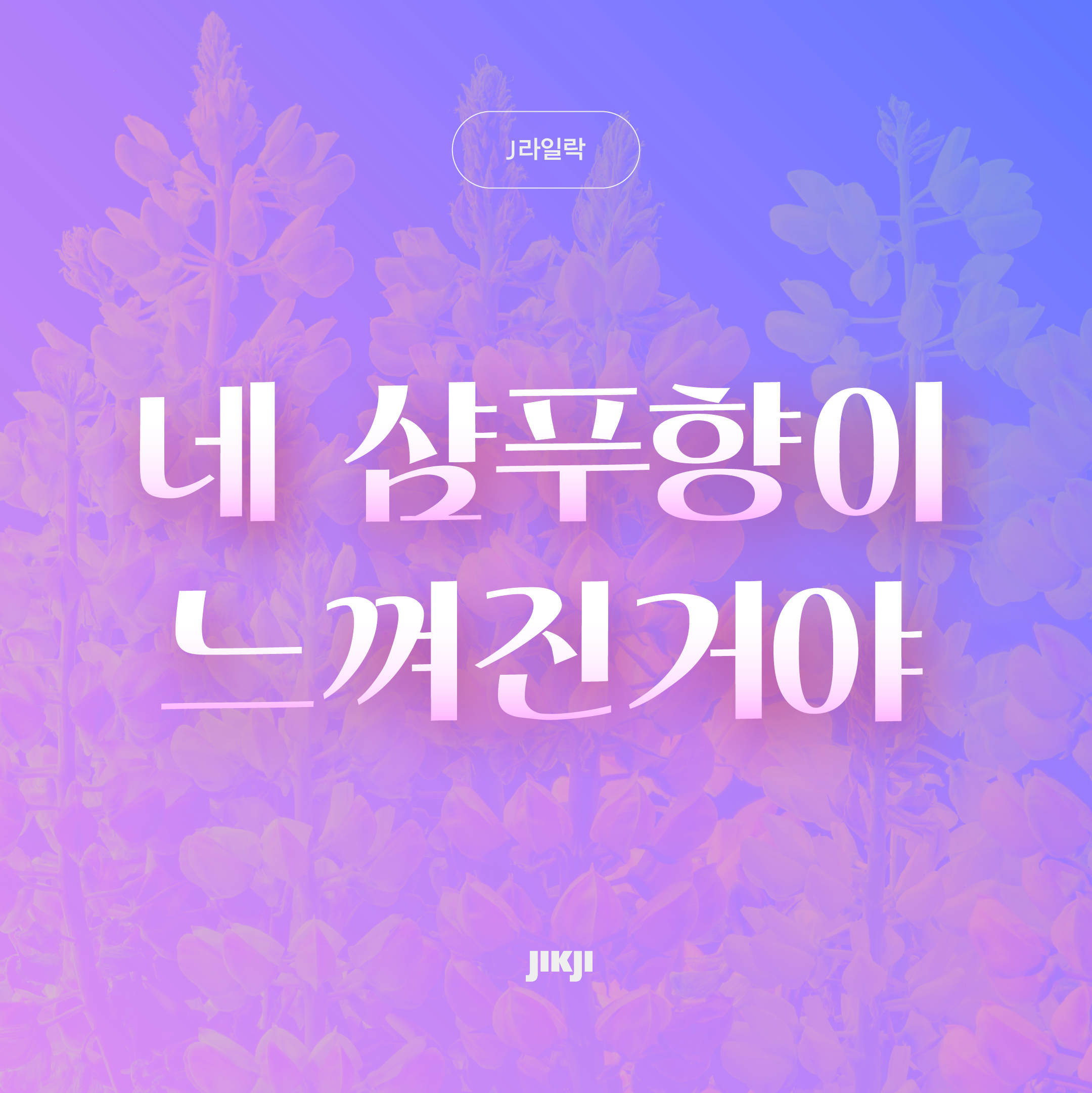 J라일락 관련 이미지